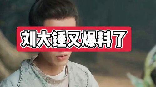 刘大锤八点爆料视频,揭秘娱乐圈惊人内幕